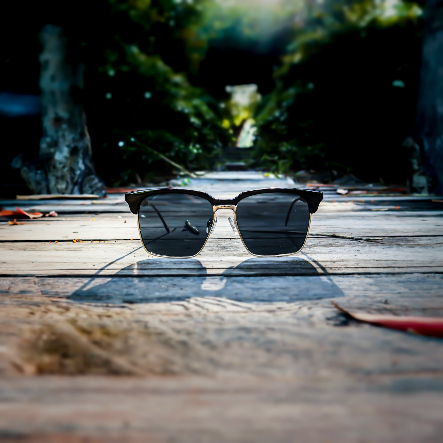 Stylish sunglasses on a wooden pathway with green foliage.